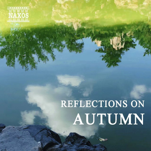 快乐风男羽锡Twitter
